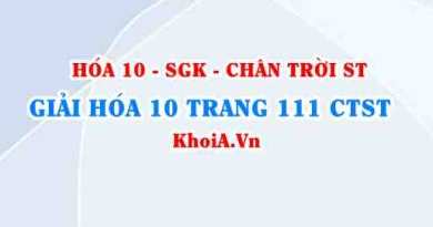 Giải Hóa 10 Chân trời Sáng tạo trang 111